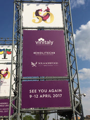 VinItaly 50 - Day 4, the Carnival is Over