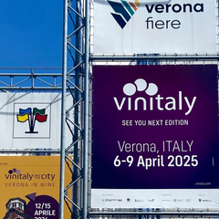 Vinitaly Wrap