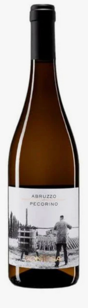2024 Contesa Pecorino | 6 pack